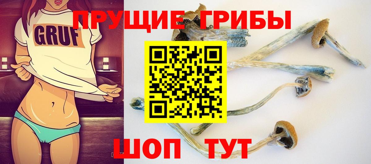 Галлюциногенные грибы Magic Shrooms Фурманов